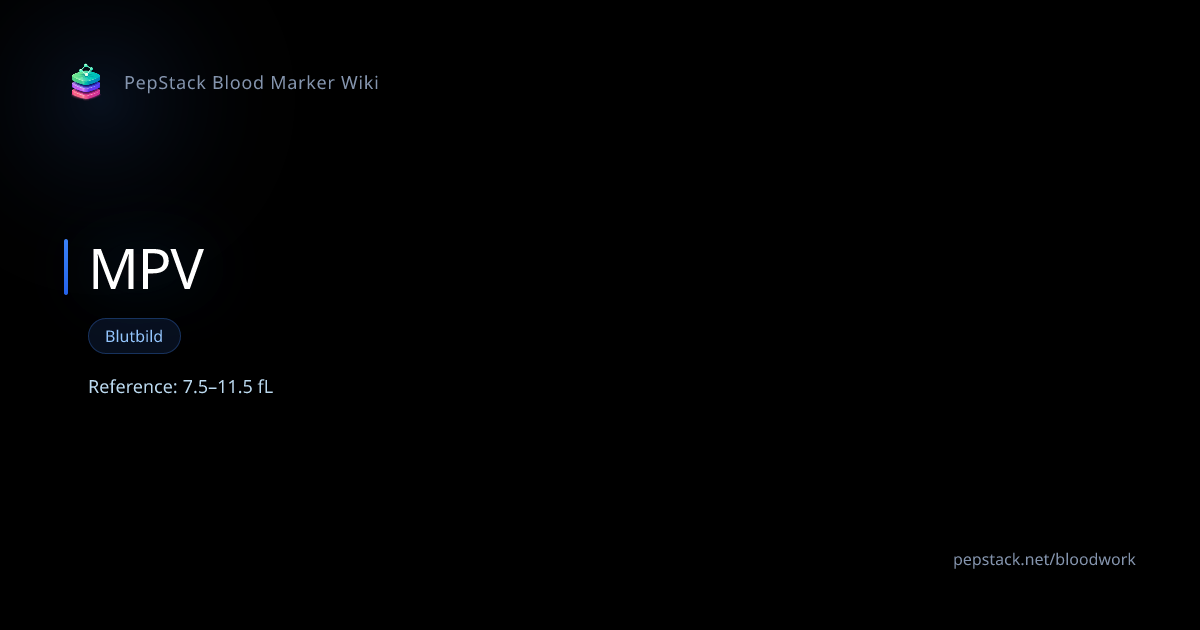 MPV (MPV) — Referenzbereiche, Bedeutung & Optimierung | PepStack
